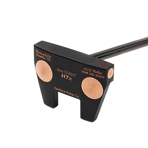 미니 자이언트 HTX - 2번